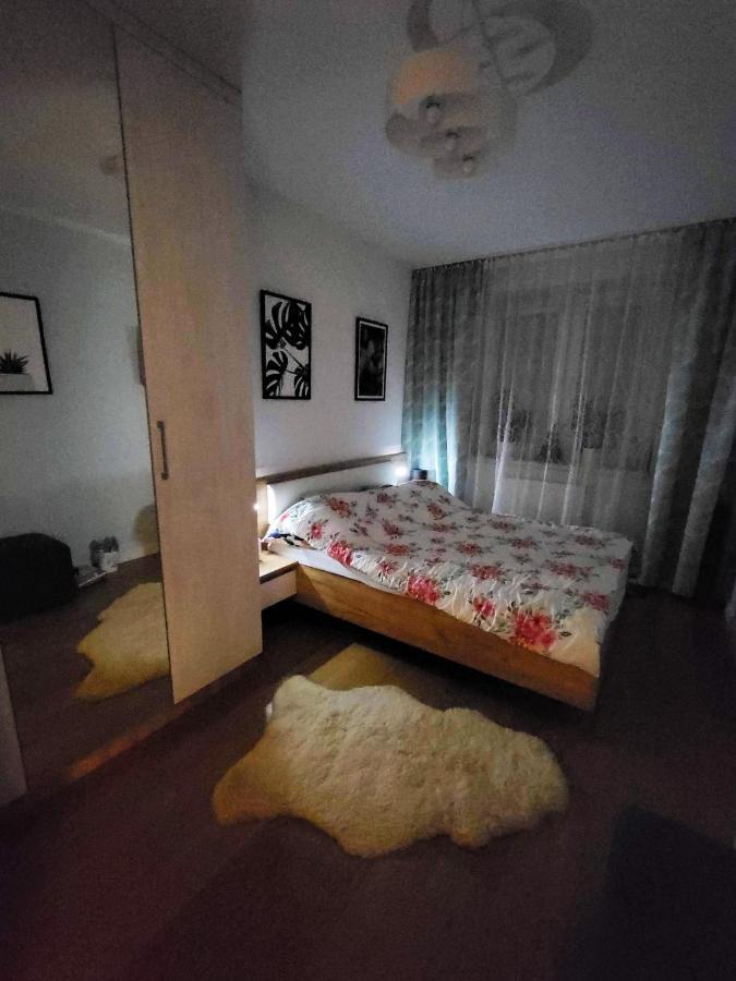 Nova Sanok