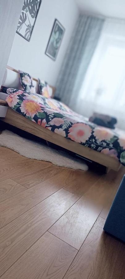 Apartment Nova